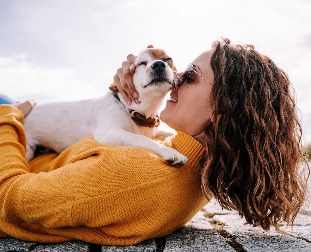 Tus mascotas seguras con nuestro seguro de mascotas para perros y gatos. Amplia cobertura y en viajes.